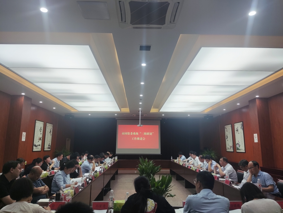 2024年7月17日，市國資委系統(tǒng)在公司開展“三組聯(lián)建”現(xiàn)場(chǎng)觀摩（推進(jìn)會(huì)）_副本